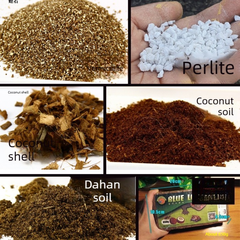 코코넛 토양 블록, 파충류 사육용 배지, 거북이, 도마 - Substrate Coconut Fiber 리뷰 및 가격
