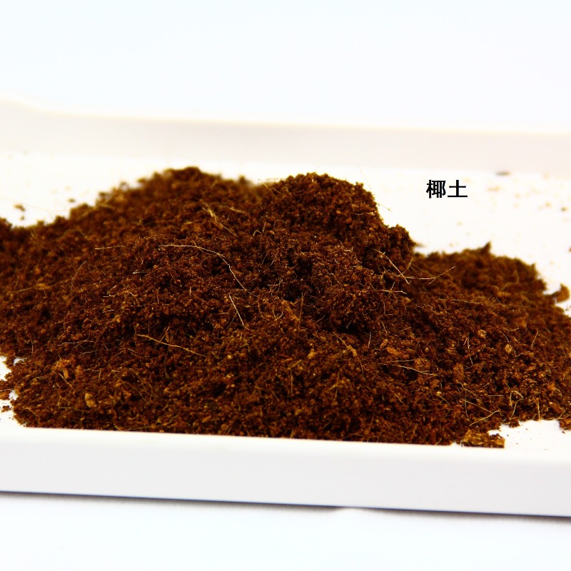 코코넛 토양 블록, 파충류 사육용 배지, 거북이, 도마 - Substrate Coconut Fiber 리뷰 및 가격
